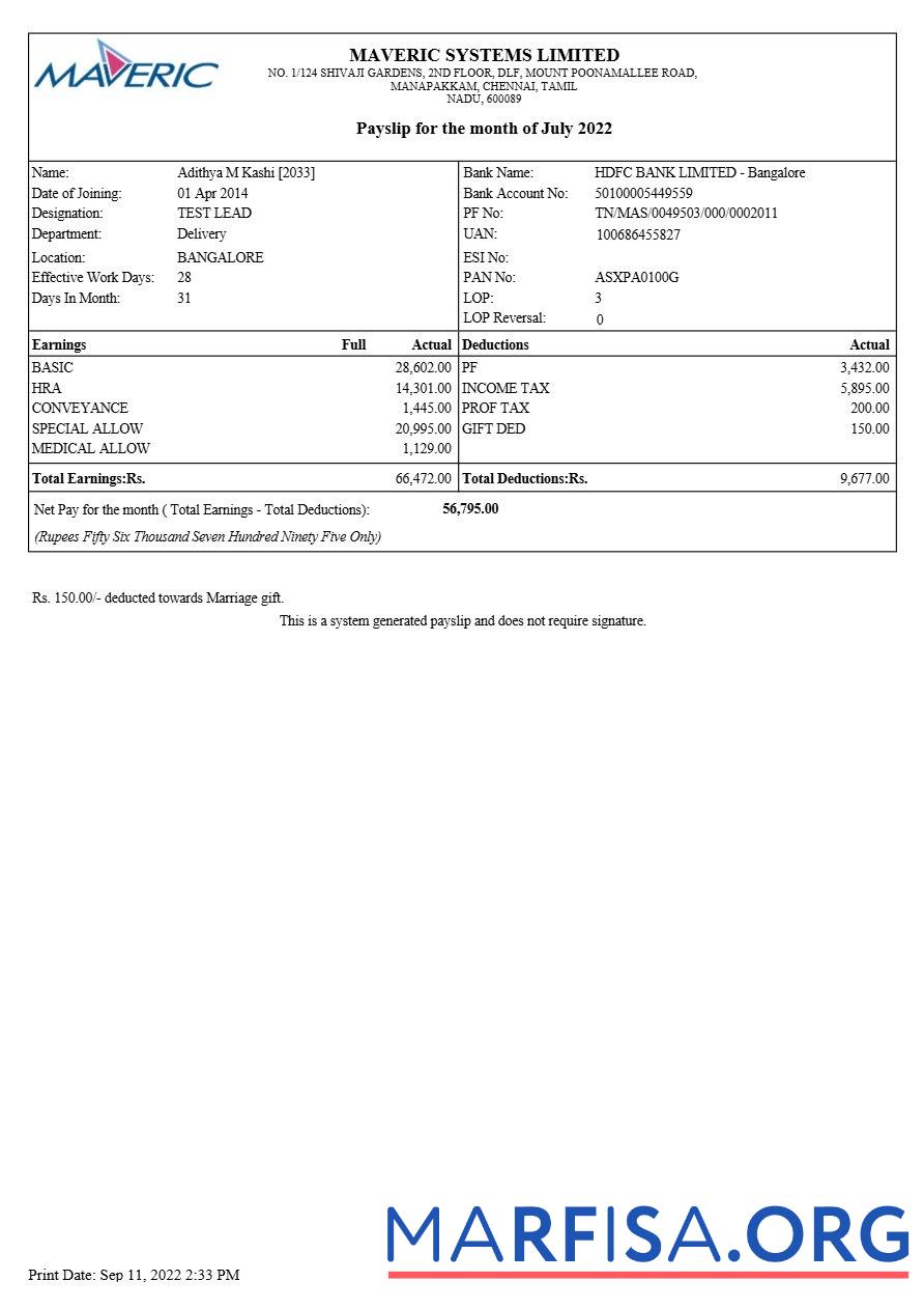 Realistic Maveric Systems engineering company payslip template